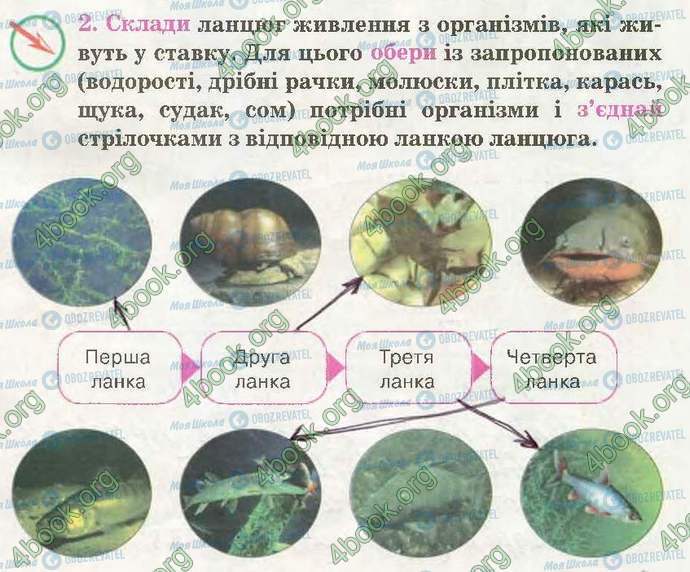 ГДЗ Природоведение 3 класс страница Стр43 Впр2